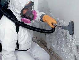 Why You Should Choose Our Mold Remediation Services in Gruetli Laager, TN